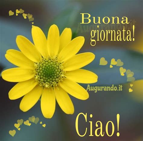 buona giornata buon giorno